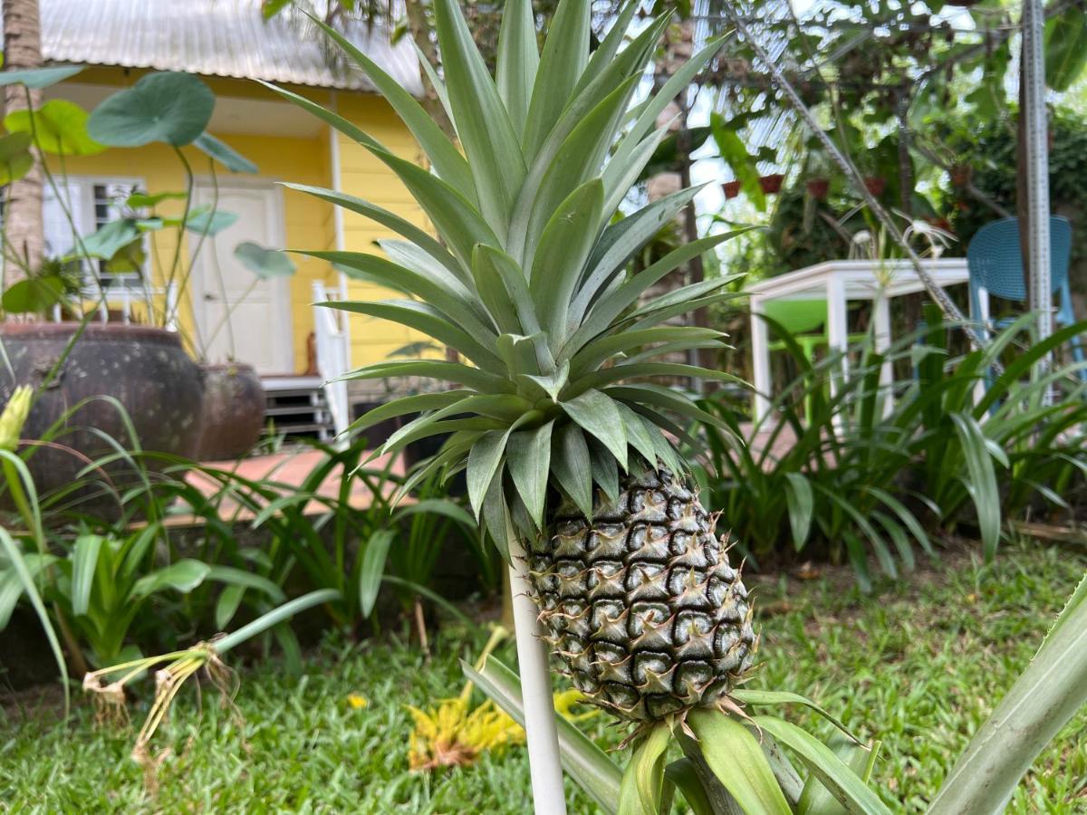 Apartamento Tropical Garden Phu Quoc Exterior foto