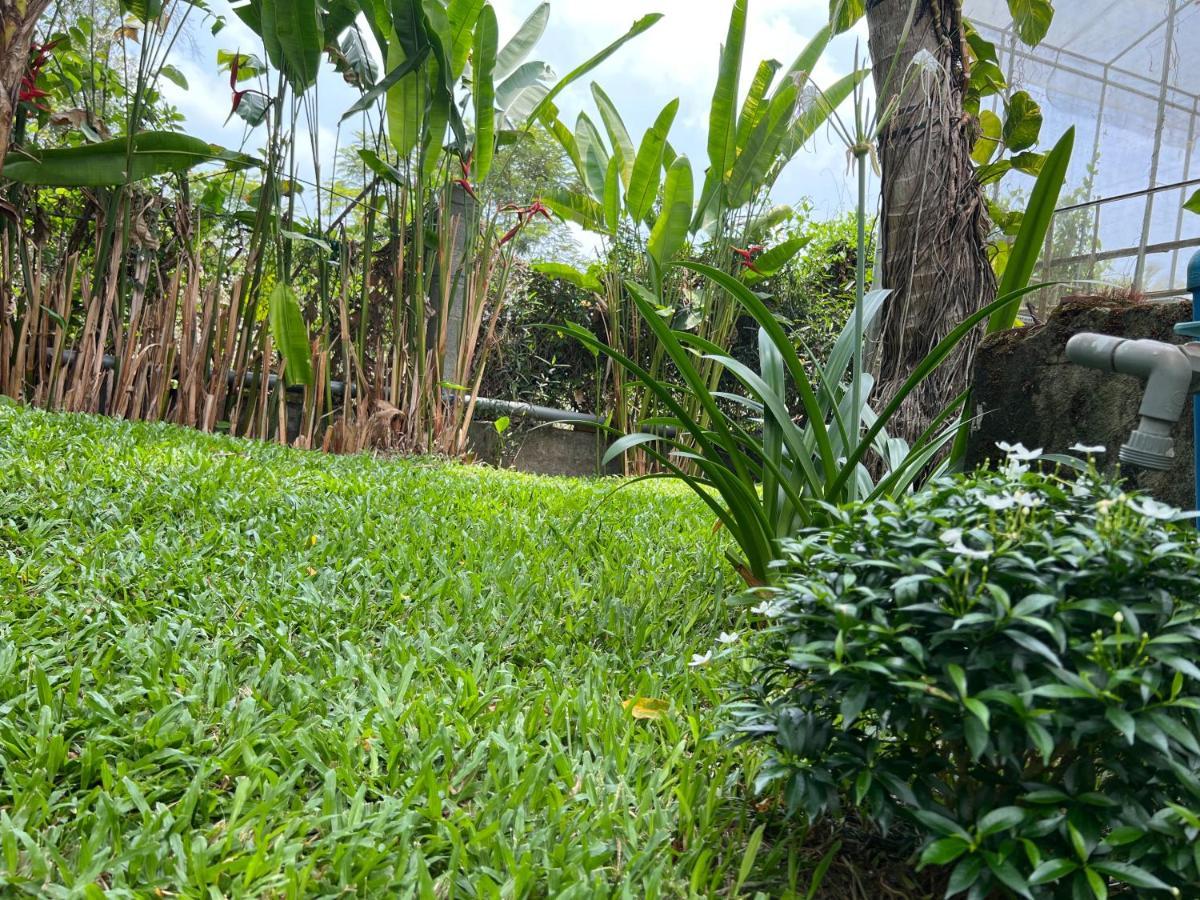 Apartamento Tropical Garden Phu Quoc Exterior foto