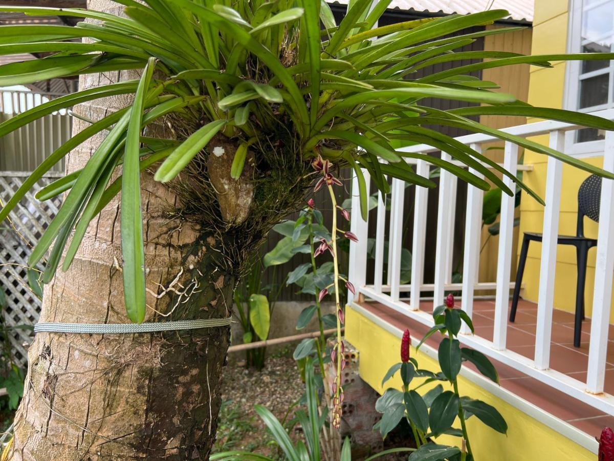 Apartamento Tropical Garden Phu Quoc Exterior foto